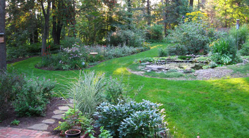 backyard landscape image
